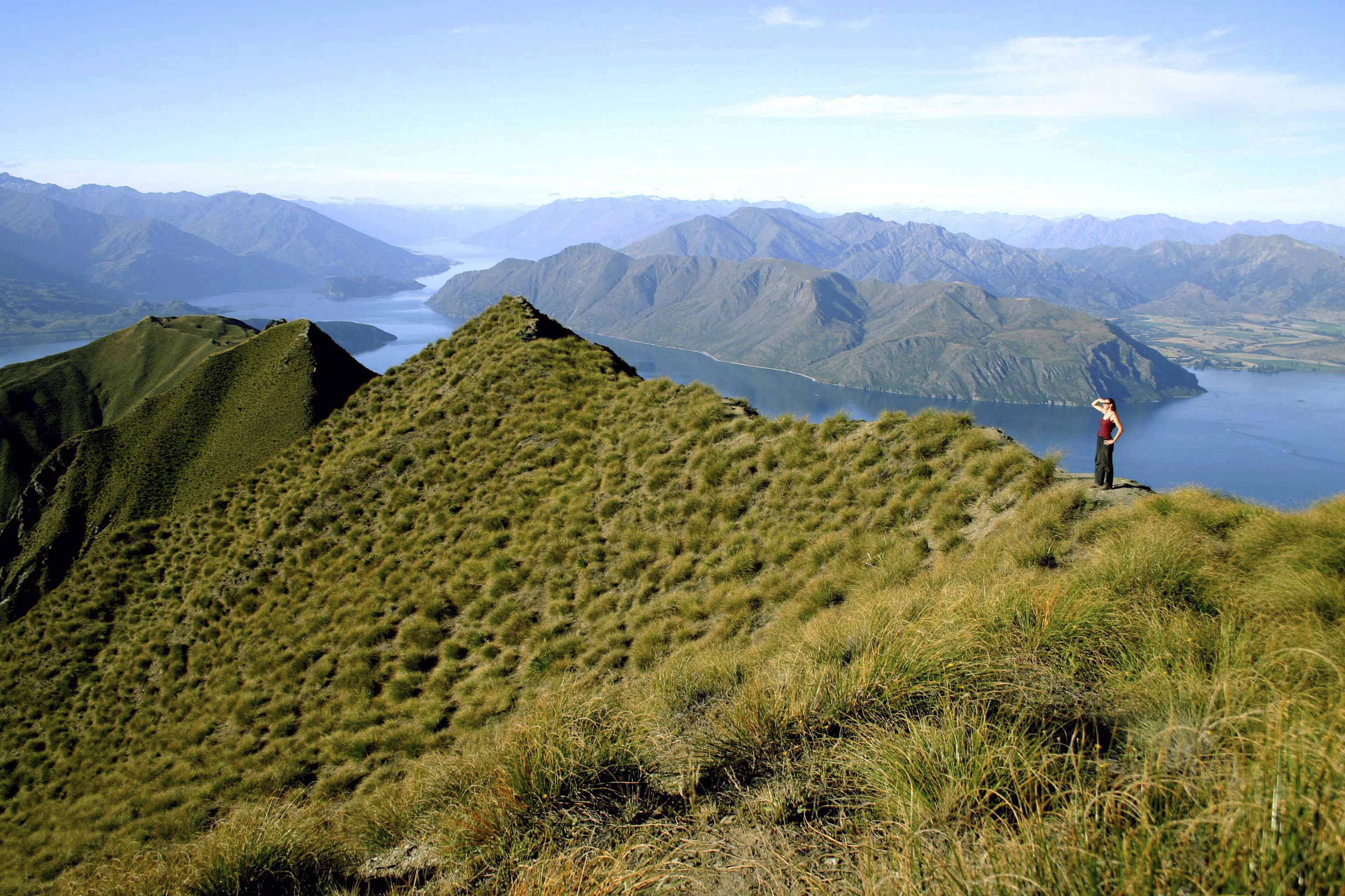 New Zealand - Will Hike For Wine