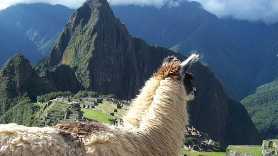 Machu Picchu: The Lost City of the Incas