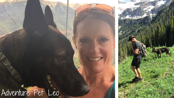 Adventure Pets: Leo the fearless and friendly German Shepherd
