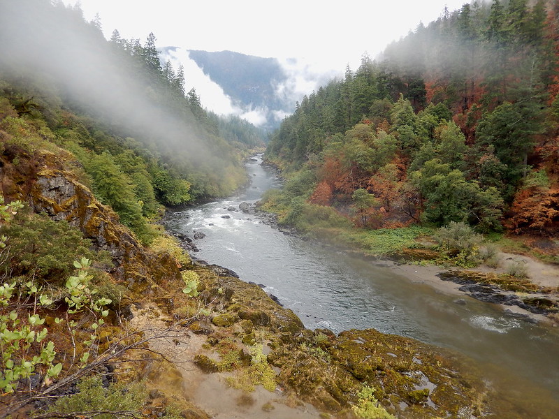 5 Wild Things About the Rogue River You Probably Didn't Know
